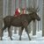 Vernette Lloyd-Hembd's profile image