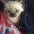 Karen Young-Michels's profile image