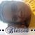 Glenda Green's profile image