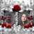 Angie Cook's profile image