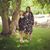 Katie Eder's profile image