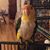 Laura Seitz's profile image