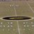 Cameron Hardy's profile image