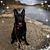 Kelly Gerry's profile image