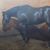 Christy Licavoli Bond's profile image