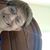 Frances Hoye's profile image