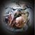 Lynn Hester's profile image