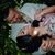 Maria Susana's profile image