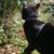 MaryAnn Selvidge Shuman's profile image