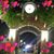 Olga Canales's profile image