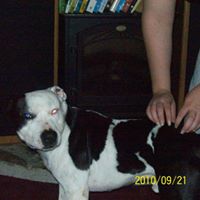 Sheri Curry's profile image