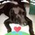 Prabir K Mallik's profile image