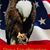Mike McRoy's profile image
