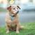 Spencer Gary Colburn's profile image