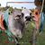 Carol Elnicki's profile image