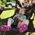 Tricia Stucenski's profile image