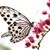 LouAnn Free's profile image