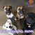 Dana Trotta-Jayne's profile image