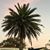 Stephanie Klinger's profile image