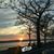 Demetrio Flores's profile image
