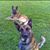 Melissa Godbee's profile image