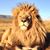 Jason Hurtienne's profile image