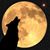 Tim Wood's profile image