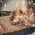 Janie Reano's profile image