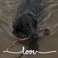 Jackie Lebbon's profile image
