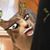 Rhymel Craig's profile image