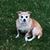 Cathy Farthing's profile image
