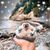 Mindy Myers Smith's profile image