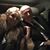 Shirley Watson Sovine's profile image