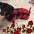 Debbie Juneau's profile image