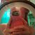 Lin Young's profile image