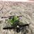 Geoffery Hammon's profile image