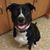 Danielle Rella Hiner's profile image