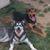 Tulsa Wimer Rankin's profile image