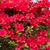 Sharan - Vikram's profile image