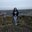 Phyllis Gagliardi's profile image