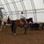 Stephanie Speiser's profile image