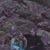 Terri Kiesz's profile image