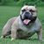 April Candace Eason's profile image