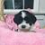 Robyn Rago's profile image
