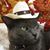Valerie Tingley's profile image