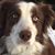 Ruth Wilson's profile image