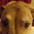 Sue Mitchell's profile image