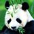 Carmie Beveridge's profile image