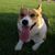 Becky Grelle's profile image
