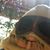 Amber Wright's profile image